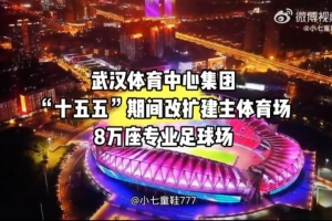 博主：武汉体育中心将改建成8万座专业球场