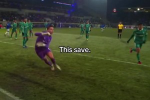 德乙门将这扑救是真极限啊